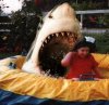 pool-shark.jpg