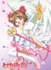 ccs_sakura.jpg