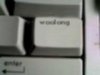 woolong.jpg