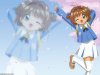 ccs_42.jpg