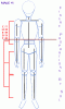 proportions.gif