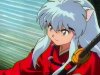 inu_scrncp_491.jpg