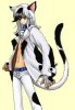 buchi the wildcat.jpg