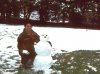 ratu_snow.jpg