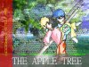 apple tree.jpg