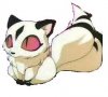 kirara2.jpg