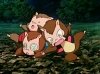 3monkey.jpg