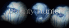 image2.gif