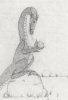 dragon\'s orb 001.jpg