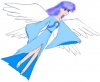 twosetsofwings.jpg