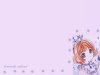 sakurawp.jpg
