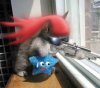 cool kitty.jpg