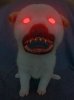 monsterdogexperimental.jpg