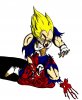 Vegeta Hurt copy.jpg