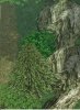 Green Forest.JPG