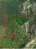 Green Forest.JPG