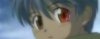 rakushodaze.JPG
