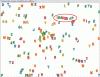Boards.gif