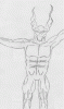 new15.gif