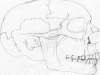 new18.gif