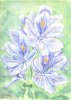 EarlyFlowers.jpg