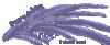 seraphimwing.gif