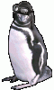 pietpiloot.gif