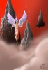 fly.jpg